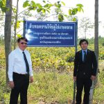 【現地情報】プエラリア・ミリフィカの収穫時期!タイ国立カセサート大学で研究専任教授と収穫状況・品質・加工工程を確認