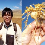 【現地情報】ペルー・ラモリーナ国立農科大学、マカ栽培地