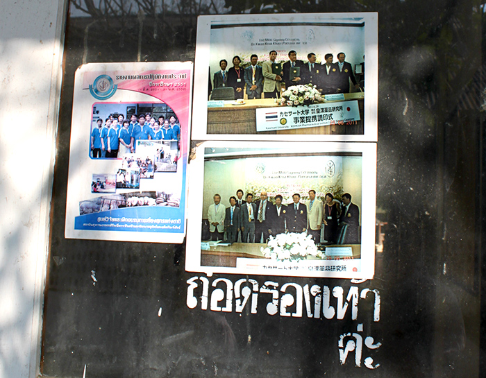 皇漢薬品研究所との調印式写真が 貼られている カセサート大学構内の掲示板