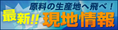 最新!現地情報