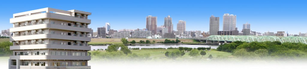 赤羽工場ビル屋上より荒川を望んだ風景