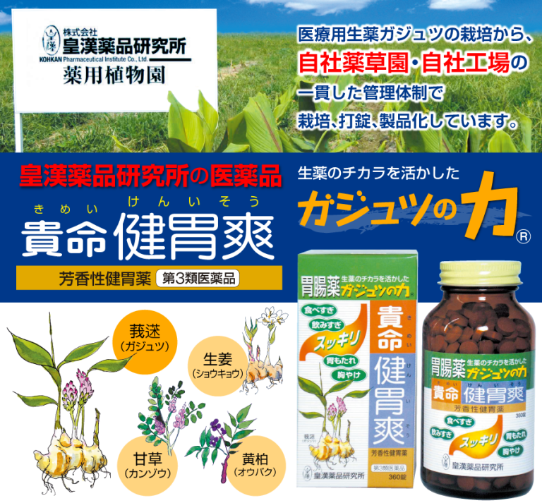 皇漢薬品研究所の医薬品