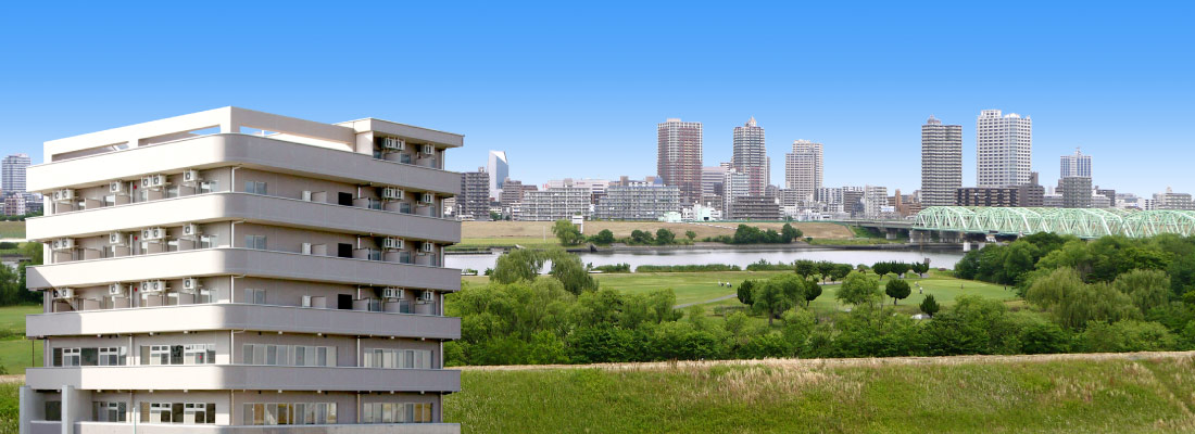 赤羽工場ビル屋上より荒川を望んだ風景