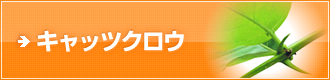 キャッツクロウ